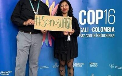 Estudiantes de ciencias químicas UABJO representaron a Oaxaca en evento de la ONU
