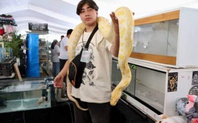 Ven este fin de semana a la UABJO y sorpréndete con animales exóticos