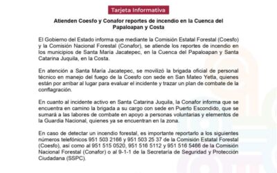 Atienden Coesfo y Conafor reportes de incendio en la Cuenca del Papaloapan y Costa
