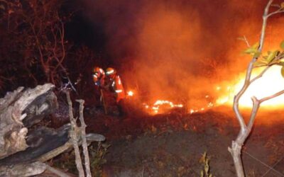 Continúa atención de incendio forestal en límites de San Juan Quiahije y Santa Catarina Juquila