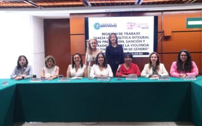 Exponen a Comisión de Igualdad los hallazgos del programa de atención y acompañamiento jurídico para mujeres en situación de violencia política