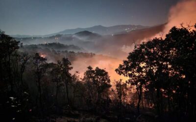 Informe sobre incendio forestal en Tlaxiaco
