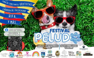 Veterinaria UABJO invita a traer a sus mascotas al ‘1er. Festival Peludo’