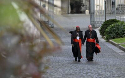 Cardenales se preparan “en armonía” para el cónclave a menos de una semana del inicio
