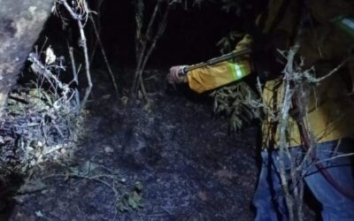 Combate Coesfo incendio forestal en San Juan Quiotepec