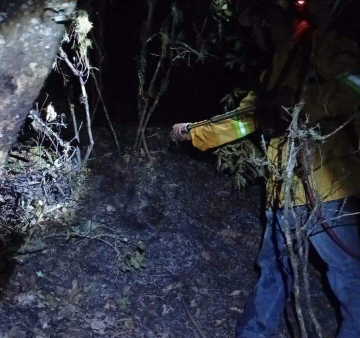 Combate Coesfo incendio forestal en San Juan Quiotepec