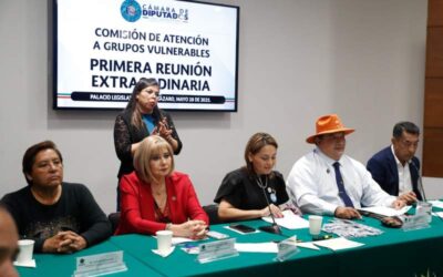 Comisión aprobó dictamen que reforma la Ley General para la Inclusión de las Personas con Discapacidad