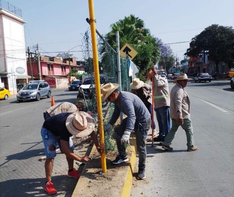 Continúan acciones de mantenimiento urbano en beneficio de las y los capitalinos