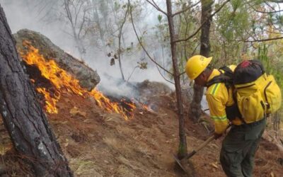 Controla Coesfo incendio forestal en San Francisco Ixpantepec