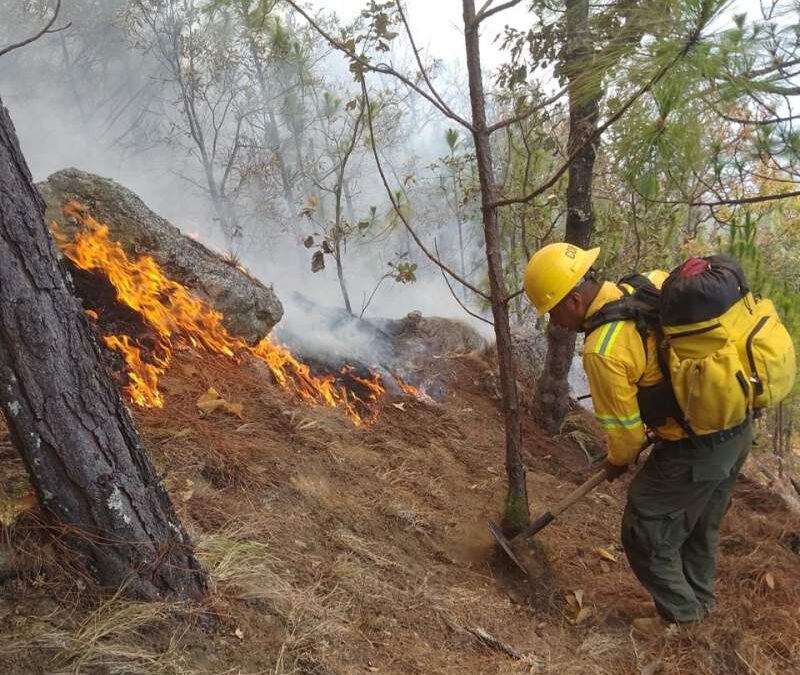 Controla Coesfo incendio forestal en San Francisco Ixpantepec
