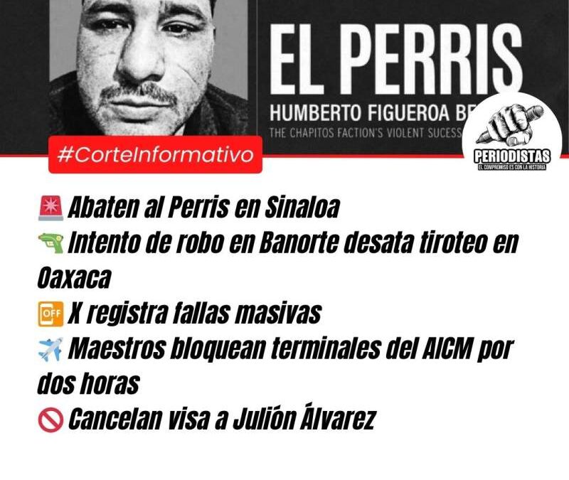 Corte Informativo Periodistas Oaxaca: Detienen al Perris en Sinaloa