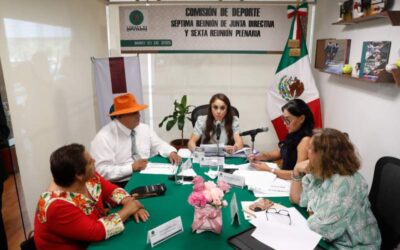 La Comisión de Deporte aprobó dictámenes en materia de reinserción social y deporte adaptado