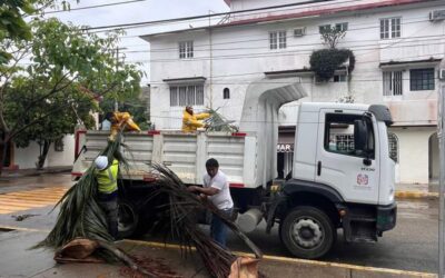 Inicia limpieza de playas afectadas por el huracán Erick: Sectur Oaxaca