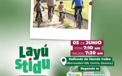 Iniciará Festival del Medio Ambiente “Layú Stidu” con paseo ciclista por el Medio Ambiente