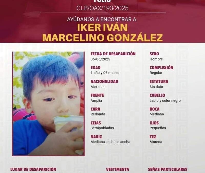 Integran binomio canino a las labores de búsqueda de un menor en la Sierra Mixe