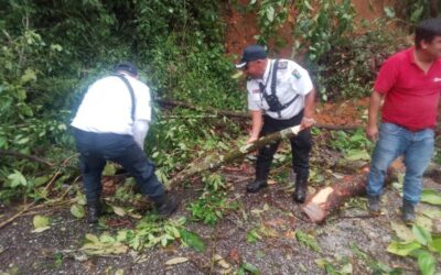 Opera con normalidad carretera Barranca Larga-Ventanilla: Policía Vial Estatal