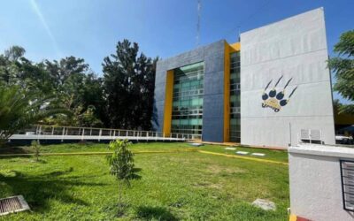 Tomar en cuenta fauna y flora nativa en acciones a favor del ambiente: científico UABJO
