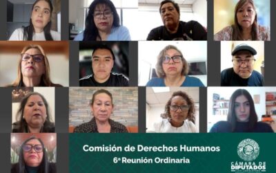 Comisión de Derechos Humanos aprobó dictamen que permite el acceso de animales de compañía a establecimientos
