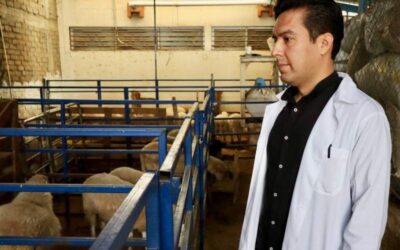 Cómo prevenir enfermedades transmitidas por animales