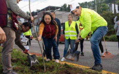 Embellecen acceso poniente de la ciudad con tequio vecinal en la Carretera Internacional