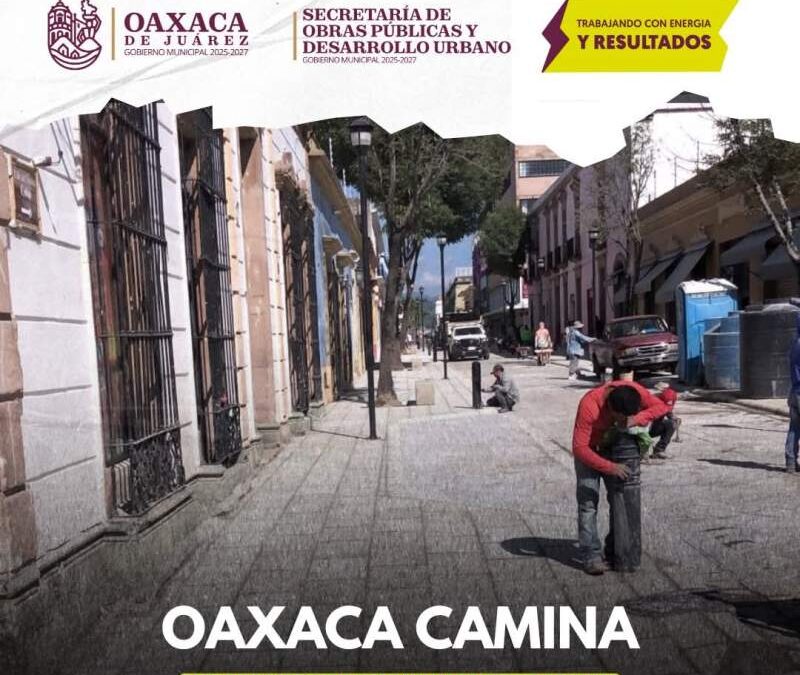 Oaxaca Camina transforma el corazón del Centro Histórico