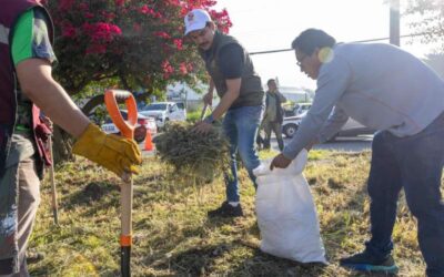 Tequio Vecinal embellece acceso a la ciudad de Oaxaca