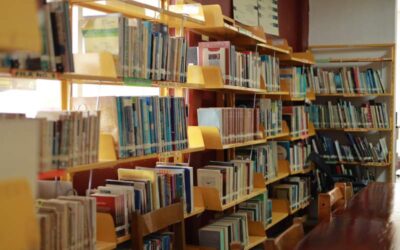 Verano con libros y diversión: Xoxocotlán invita a vivir ´Mis Vacaciones en la Biblioteca’