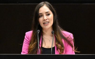 Proponen la creación de un Padrón Nacional de Refugios de Animales