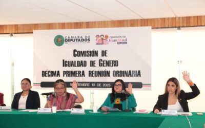 Comisión avaló tres opiniones a iniciativas sobre igualdad sustantiva, derecho civil y familiar, y delitos electorales