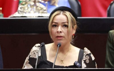 Plantean reformar la Ley del IEPS para aligerar la carga impositiva a bebidas alcohólicas con denominación de origen