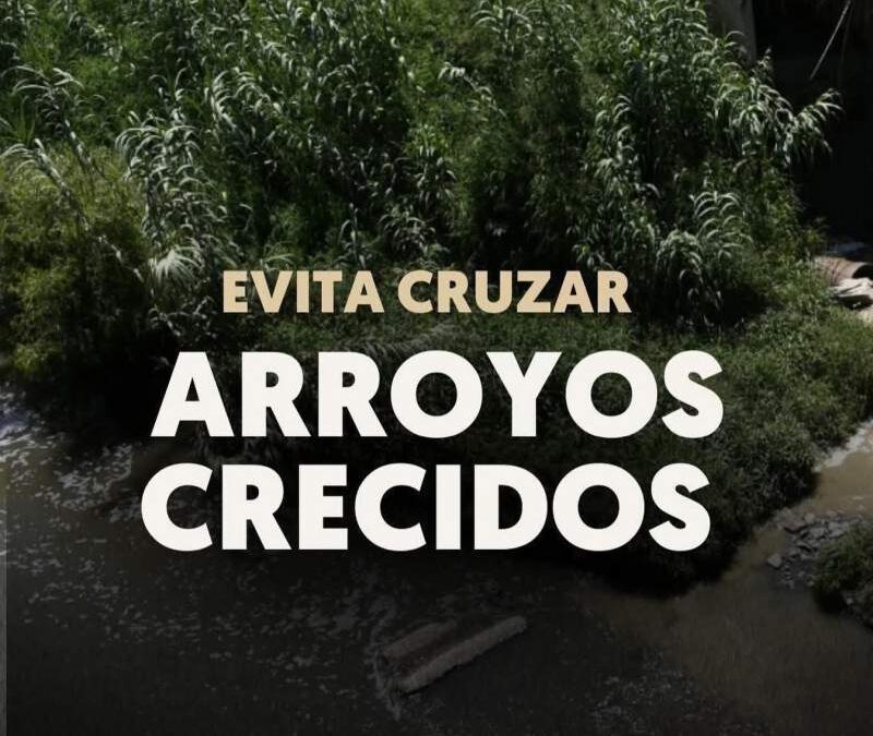 Atienden de inmediato reportes por caída de árboles y encharcamientos en Oaxaca de Juárez