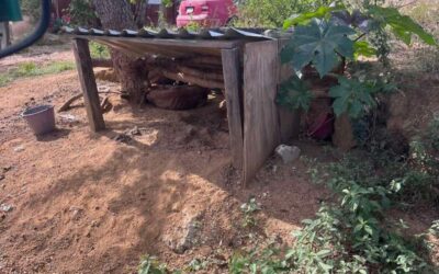 Fiscalía de Oaxaca rescata a Nala, perrita en situación de abandono en Valles Centrales