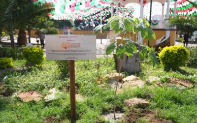 Fortalecen educación ambiental en Xoxocotlán con arranque del programa Layú Stidu