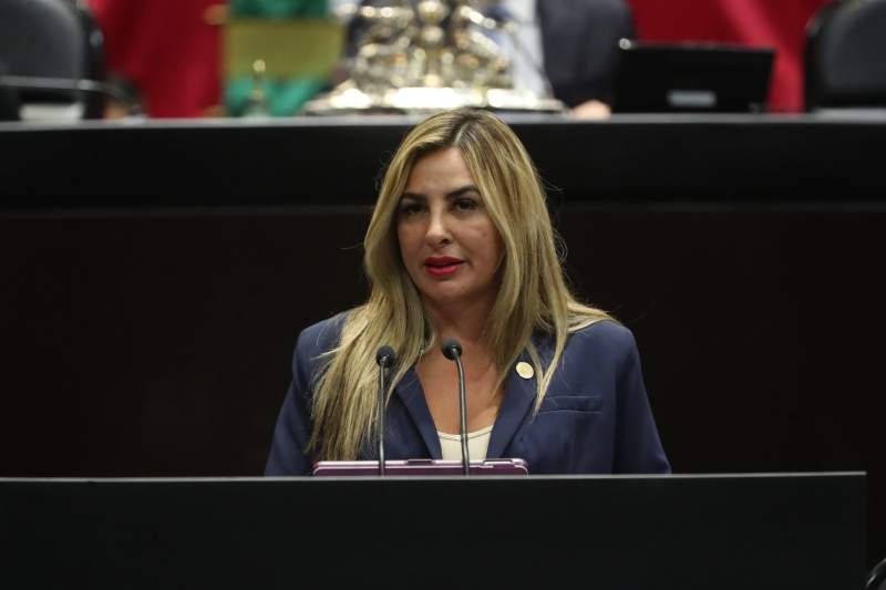 la-comision-de-seguridad-publica-reconoce-avances-en-la-estrategia-nacional-de-seguridad-tras-la-comparecencia-del-secretario-omar-garcia-harfuch