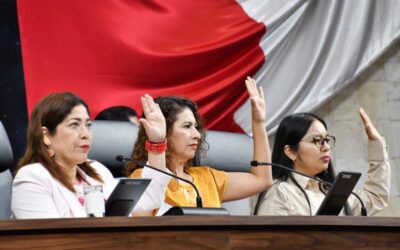 Aprueba Legislativo la emisión de la Convocatoria para renovar el Consejo General de la CEAMO