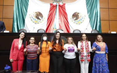 El Estado mexicano debe dedicar los recursos necesarios para detener la violencia contra las mujeres: Kenia López Rabadán