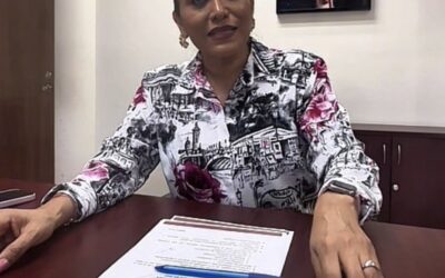 Binnibus y regularización del transporte: la Ley se impuso al pulpo camionero