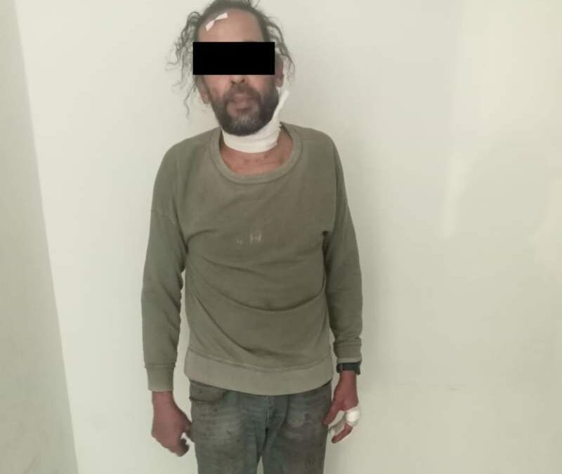 Fiscalía de Oaxaca detiene a una persona y rescata a 65 perritos por caso de crueldad animal en San Francisco Lachigoló