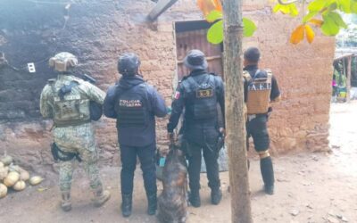 Fiscalía de Oaxaca ejecuta cateo en la Cañada; detiene a dos personas por narcomenudeo