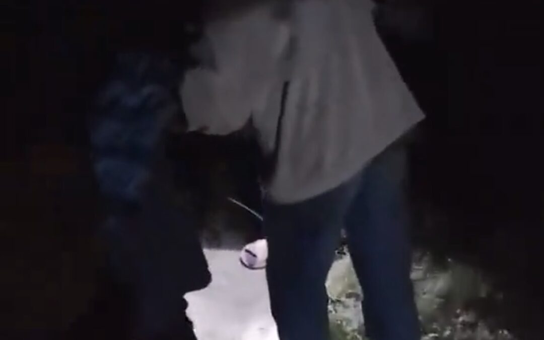 Pobladores de Chimalapas denuncian ingreso de desplazados de Cintalapa y amenazas del crimen organizado