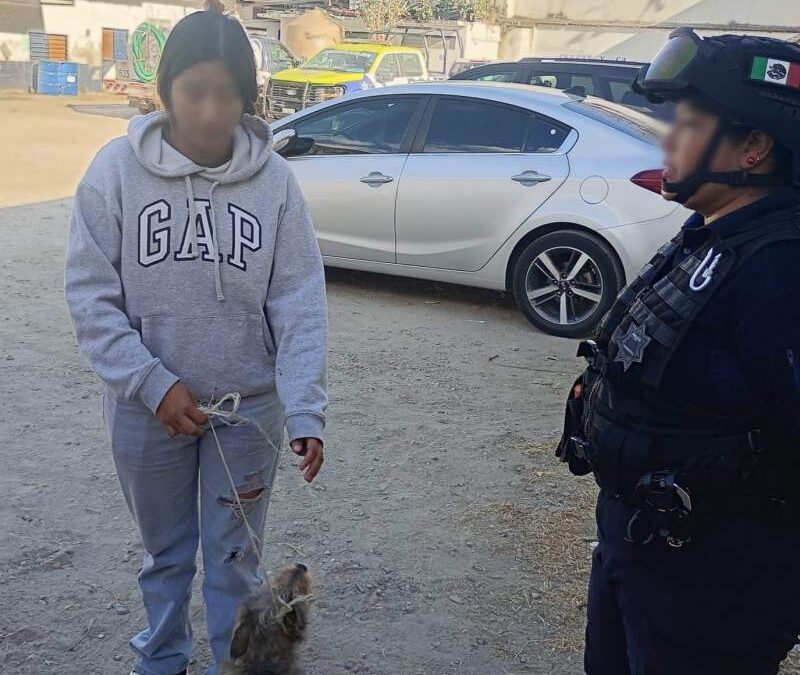 El Ayuntamiento de Oaxaca investiga a policías municipales y elementos de la UMAR por presunto uso excesivo de la fuerza tras video viral. Se confirmó el resguardo y entrega segura de los animales que acompañaban al afectado.