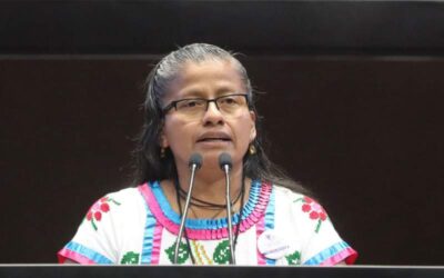 Proponen expedir Ley General de Bienestar, Cuidado, Conservación, Preservación y Protección de los Animales