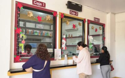 Xoxocotlán invita a aprovechar los últimos días de descuentos de enero