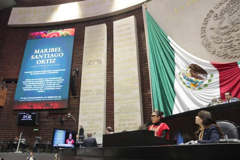 necesario-integrar-las-68-lenguas-nacionales-a-la-vida-publica-plantea-hablante-de-tuun-savi-a-diputadas-y-diputados-1