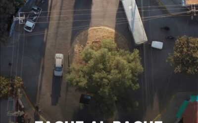 Tache al Bache en acción