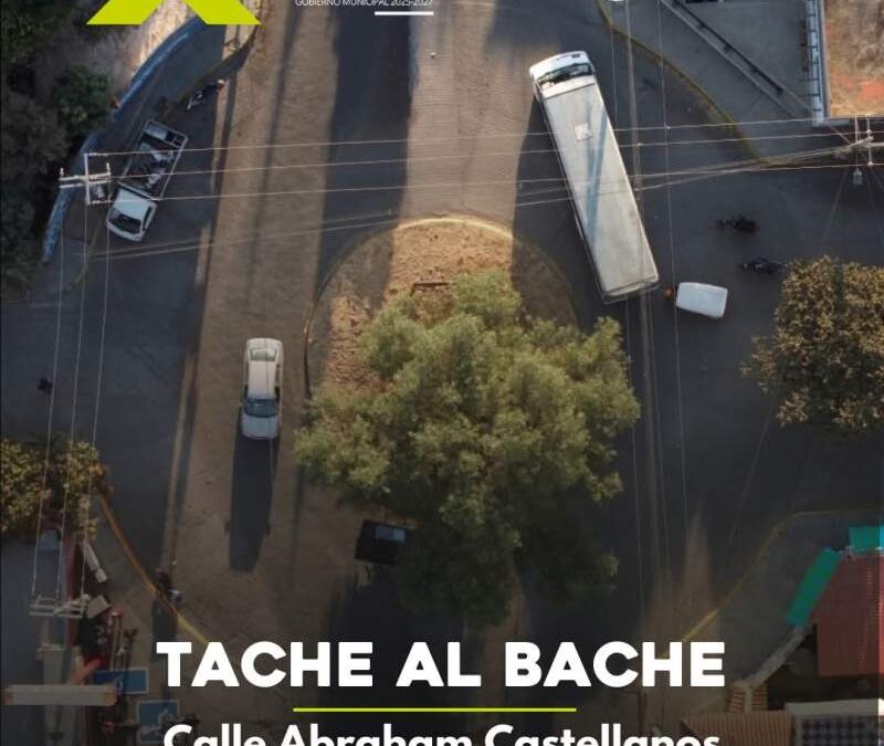 Tache al Bache en acción