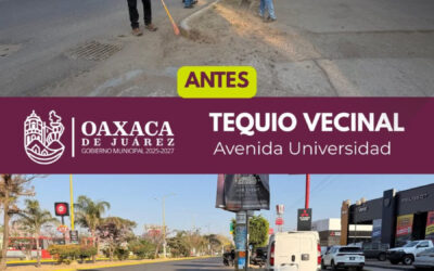 Vecinas y vecinos realizan Tequio Vecinal en Avenida Universidad
