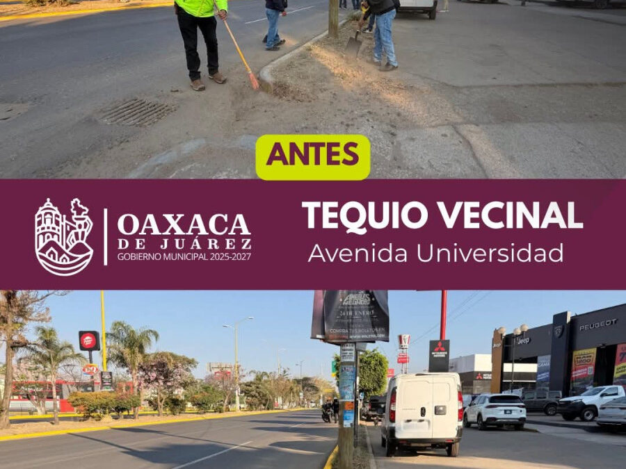 Vecinas y vecinos realizan Tequio Vecinal en Avenida Universidad