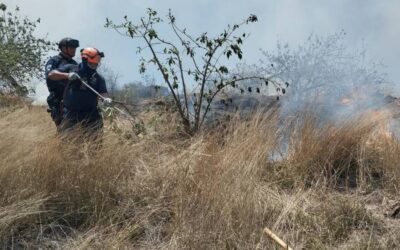 Atención a incendio en el Cerro del Crestón