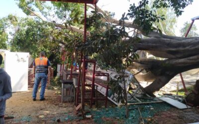 Continúan trabajos de atención y monitoreo en Oaxaca de Juárez tras lluvias